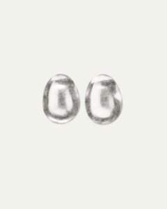 Massimo Dutti earrings