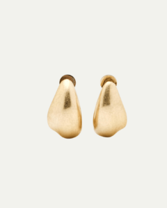 Massimo Dutti earrings